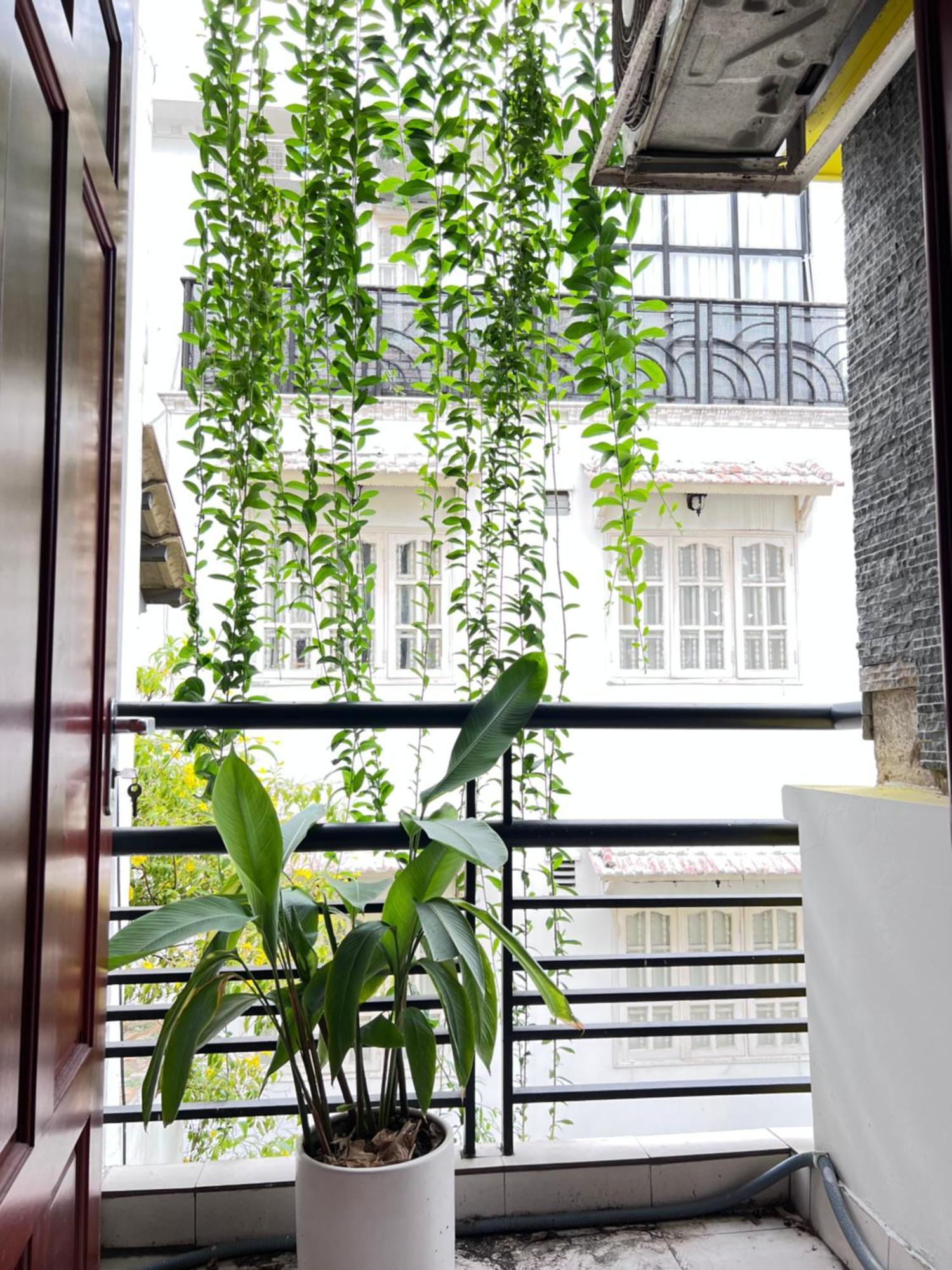 Co Homestay Saigon Ho Chi Minh City Bagian luar foto